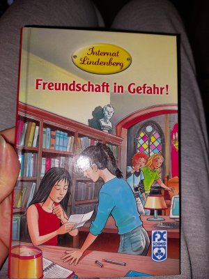 gebrauchtes Buch – Mathias Metzger – Freundschaft in Gefahr!