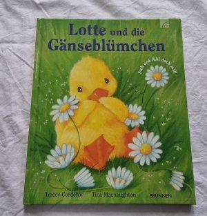 Lotte und die Gänseblümchen - Sieh und fühl doch mal!