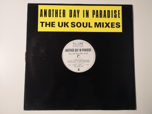 Another Day In Paradise (The UK Soul Mixes)