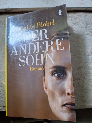 Der andere Sohn - Roman