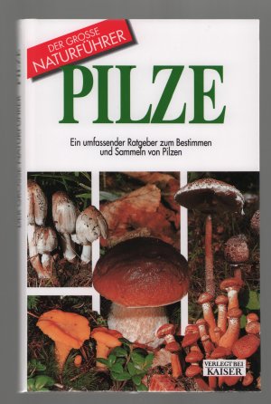 gebrauchtes Buch – Ettore Bielli – Pilze/Ein umfassender Ratgeber zum Bestimmen und Sammeln von Pilzen