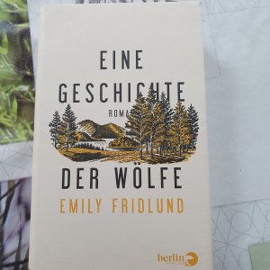 gebrauchtes Buch – Emily Fridlund – Eine Geschichte der Wölfe