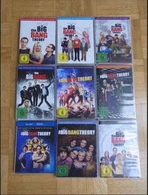 The Big Bang Theory, Staffel 1-9