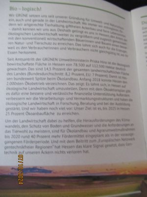 gebrauchtes Buch – Thüne / Helmes ----- Bündnis 90/ Die Grünen – Die grüne Gefahr  ------- Grüne Erfolgsrezepte