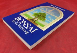 Bonsai für die Wohnung