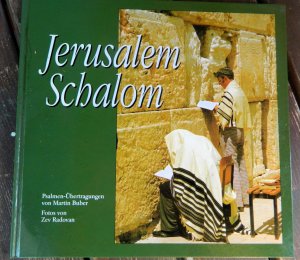 gebrauchtes Buch – Hans Steinacker – Jerusalem Schalom