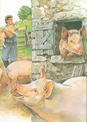 gebrauchtes Buch – Ray Cresswell – Das große Tierbuch