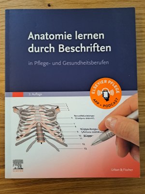 Anatomie lernen durch Beschriften - in Pflege- und Gesundheitsberufen