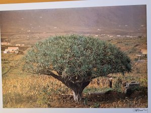 Cabo Verde