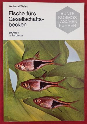 Fische fürs Gesellschaftsbecken - 60 Arten in Farbfotos