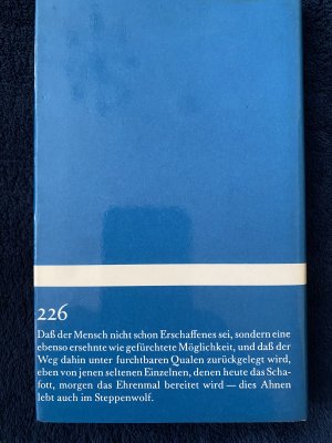 gebrauchtes Buch – Hermann Hesse – Der Steppenwolf