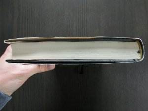 gebrauchtes Buch – Stephenie Meyer – Biss zum ersten Sonnenstrahl - Das kurze zweite Leben der Bree Tanner