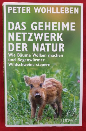 gebrauchtes Buch – Peter Wohlleben – Das geheime Netzwerk der Natur - Wie Bäume Wolken machen und Regenwürmer Wildschweine steuern