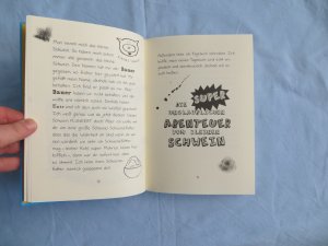 gebrauchtes Buch – Emer Stamp – Die super unglaublichen Abenteuer vom kleinen Schwein