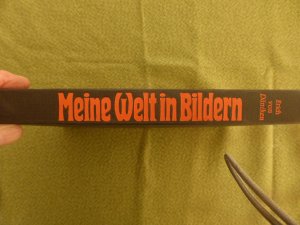 Meine Welt in Bildern