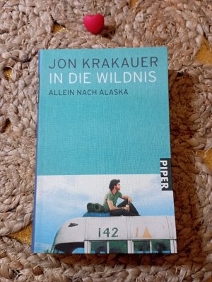 gebrauchtes Buch – Jon Krakauer – In die Wildnis - allein nach Alaska