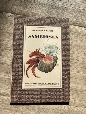 antiquarisches Buch – Herbert Brandt – Symbiosen