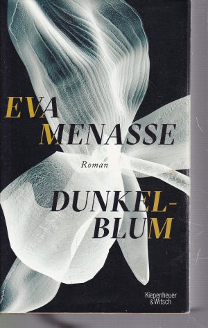 gebrauchtes Buch – Eva Menasse – Dunkelblum