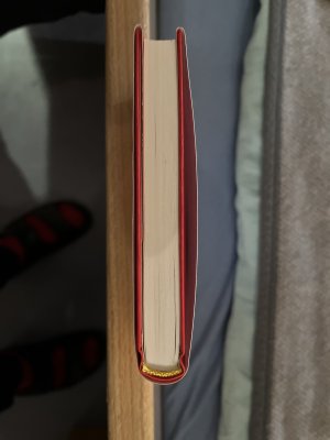 gebrauchtes Buch – Daniel Schreiber – Allein. Widmungsexemplar.