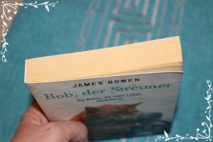 gebrauchtes Buch – James Bowen – Bob, der Streuner - Die Katze, die mein Leben veränderte