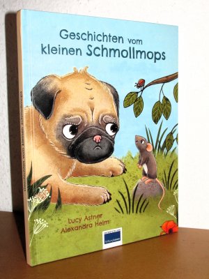 Geschichten vom kleinen Schmollmops: Lach mal, kleiner Schmollmops / Nur Mut, kleiner Schmollmops - Ein Mitmachbuch - Mit Illustrationen von Alexandra Helm