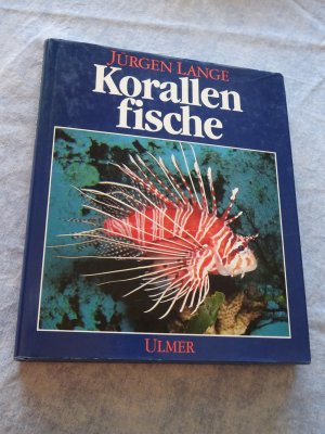 Korallenfische