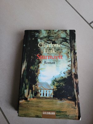 gebrauchtes Buch – Charlotte Link – Sturmzeit - Roman