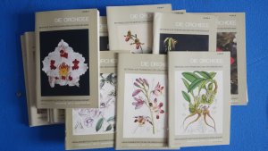 19 x Die Orchidee - Beiträge zur Förderung der Orchideenkunde (1985 1986 1987 1988 Orchideen Orchideenkunde handbuch zeitschrift Ratgeber Flora Sammlung […]