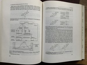 gebrauchtes Buch – Walter Ruske – Einführung in die organische Chemie