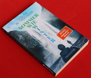 gebrauchtes Buch – Judith W. Taschler – Sommer wie Winter