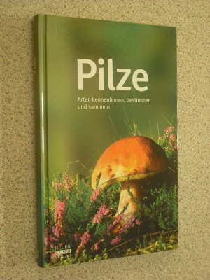 gebrauchtes Buch – pilze - arten kennenlernen, bestimmen und sammeln