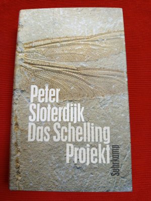 gebrauchtes Buch – Peter Sloterdijk – Das Schelling Projekt