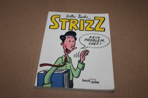 gebrauchtes Buch – Volker Reiche – STRIZZ Das erste Jahr