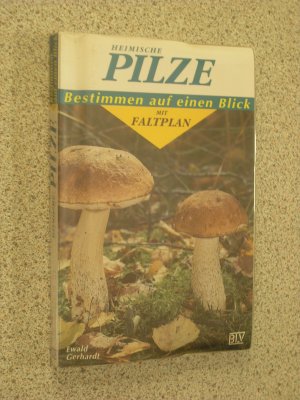 gebrauchtes Buch – ewald gerhardt – heimische pilze