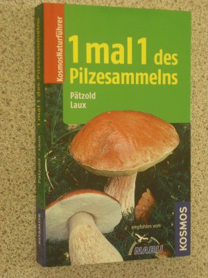 1 mal 1 des pilzesammelns