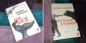 gebrauchtes Buch – Dörte Hansen – Mittagsstunde  Zur See