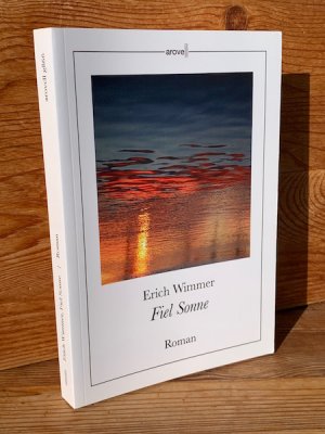 Fiel Sonne. Eine Islandreise – Roman