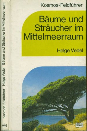 Bäume und Sträucher im Mittelmeerraum