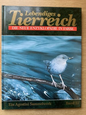 gebrauchtes Buch – Lebendiges Tierreich - Die neue Enzyklopädie in Farbe Band 23  Vögel