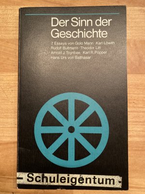 Der Sinn der Geschichte - 7 Essays