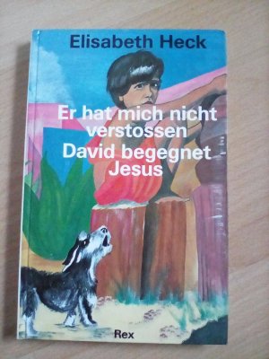 gebrauchtes Buch – Elisabeth Heck – Er hat mich nicht verstossen
