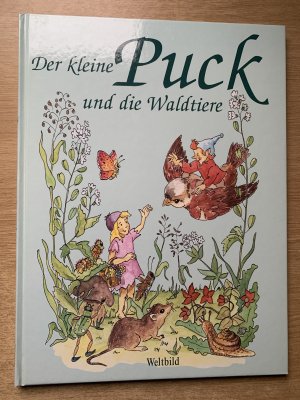 gebrauchtes Buch – Sascha Wuillemet – Der kleine Puck und die Waldtiere