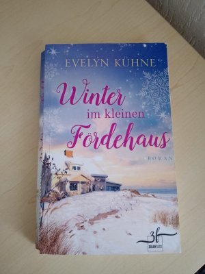 gebrauchtes Buch – Evelyn Kühne – Winter im kleinen Fördehaus