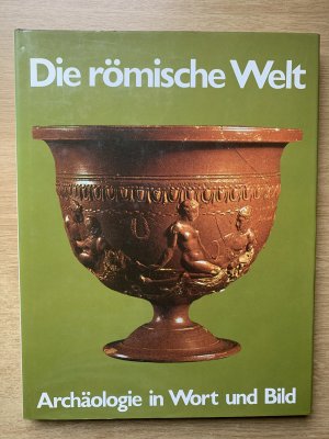 gebrauchtes Buch – Michael Vickers – Archäologie in Wort und Bild:  Die Römische Welt