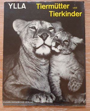 Tiermütter und Tierkinder