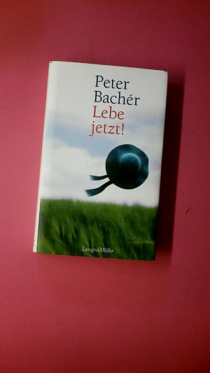 gebrauchtes Buch – Peter Bachér – LEBE JETZT!.