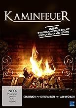 Kaminfeuer 2013