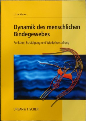 Dynamik des menschlichen Bindegewebes