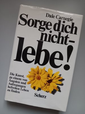 gebrauchtes Buch – Dale Carnegie – Sorge dich nicht - lebe!