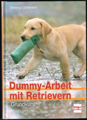 Dummy-Arbeit mit Retrievern - Grundkurs